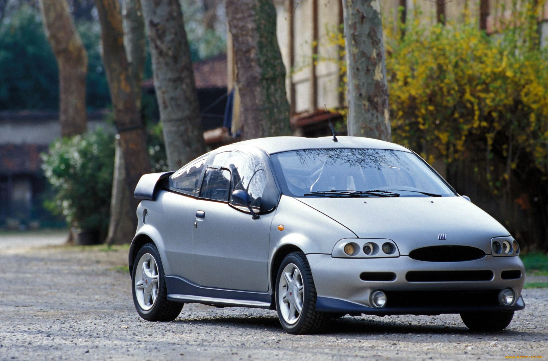 , fiat, punto